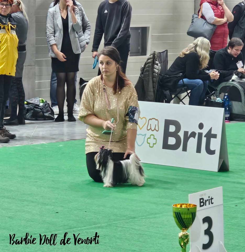 482828028_2140527333057296_5931226916610304506_n
