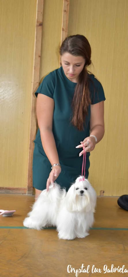 483665482_1184586443004733_6892842118938275911_n